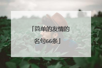 简单的友情的名句66条