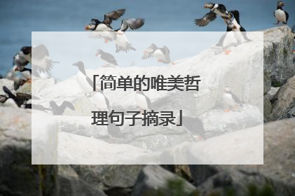 简单的唯美哲理句子摘录