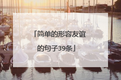 简单的形容友谊的句子39条