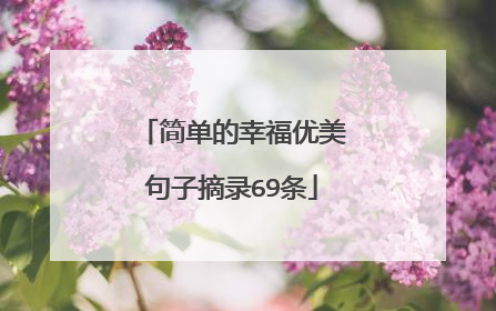 简单的幸福优美句子摘录69条