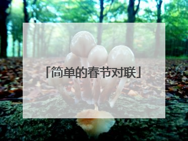 简单的春节对联