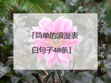简单的浪漫表白句子40条