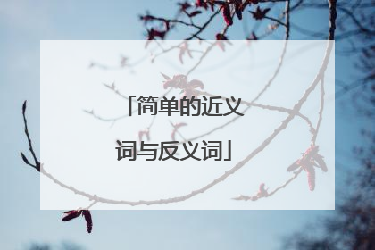 简单的近义词与反义词