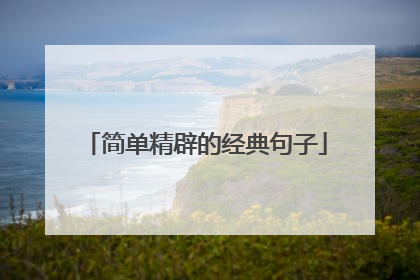 简单精辟的经典句子