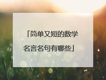 简单又短的数学名言名句有哪些