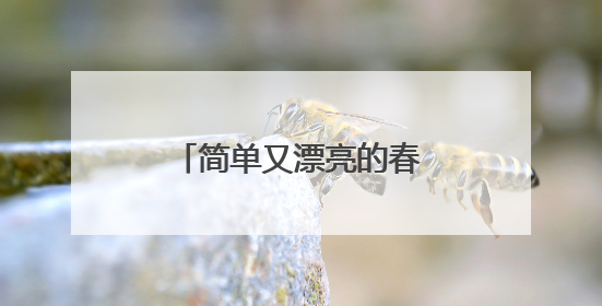 简单又漂亮的春节手抄报图片