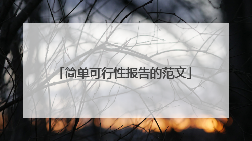 简单可行性报告的范文