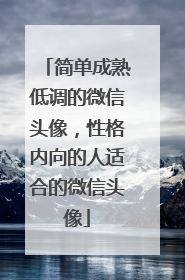 简单成熟低调的微信头像，性格内向的人适合的微信头像