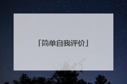简单自我评价