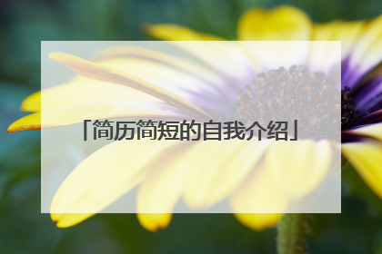 简历简短的自我介绍