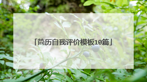简历自我评价模板10篇
