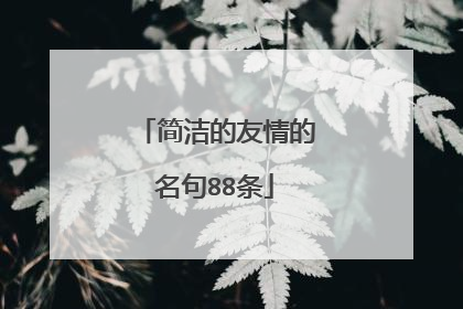 简洁的友情的名句88条