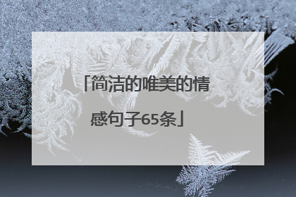 简洁的唯美的情感句子65条