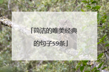 简洁的唯美经典的句子59条