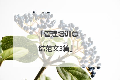 管理培训总结范文3篇