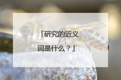 研究的近义词是什么?