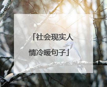 社会现实人情冷暖句子