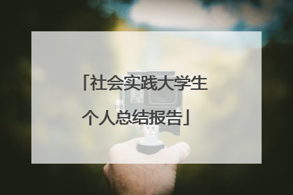 社会实践大学生个人总结报告