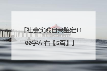社会实践自我鉴定1100字左右【5篇】