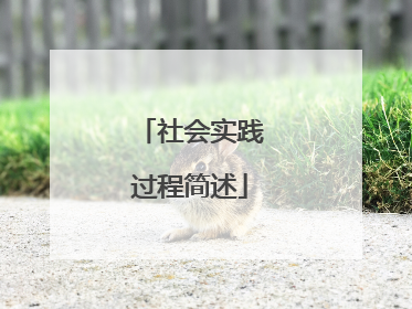 社会实践过程简述