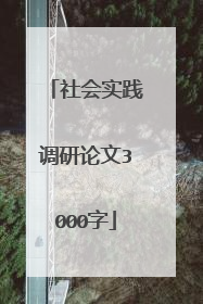 社会实践调研论文3000字