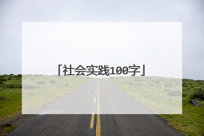 社会实践100字