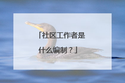 社区工作者是什么编制？