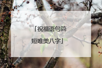 祝福语句简短唯美八字