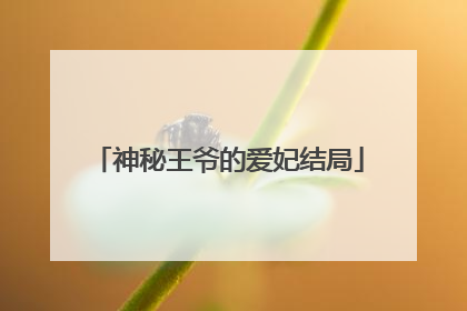 神秘王爷的爱妃结局