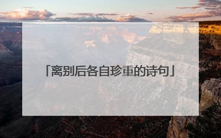 离别后各自珍重的诗句