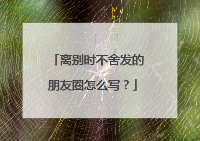 离别时不舍发的朋友圈怎么写？