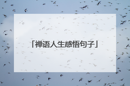 禅语人生感悟句子