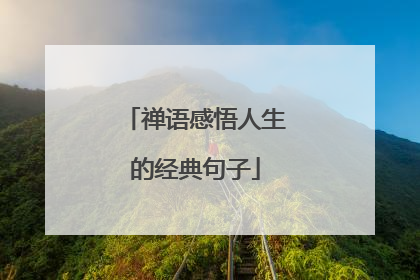 禅语感悟人生的经典句子