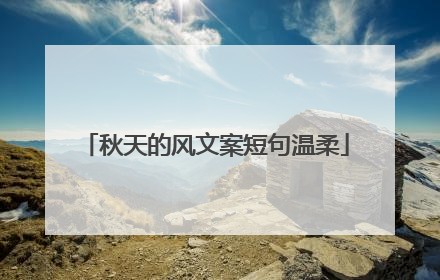 秋天的风文案短句温柔