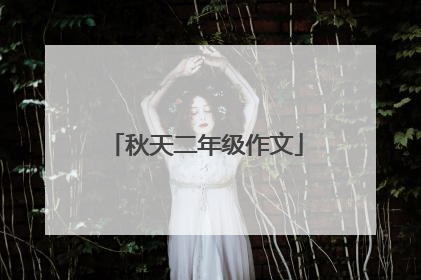秋天二年级作文
