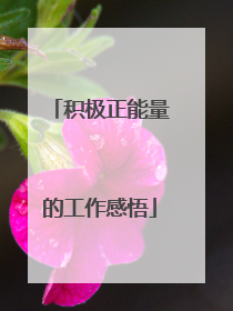 积极正能量的工作感悟