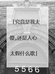 究竟是我太傻,还是人心太假什么歌