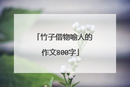 竹子借物喻人的作文800字