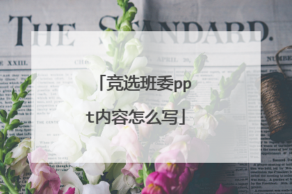 竞选班委ppt内容怎么写