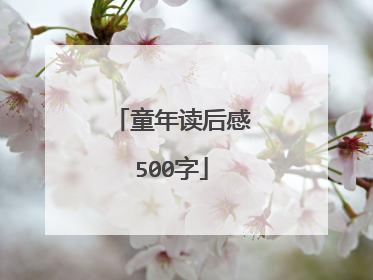 童年读后感500字