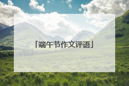 端午节作文评语