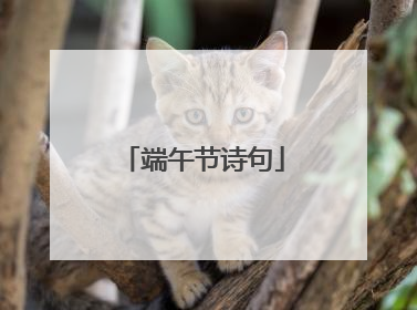 端午节诗句