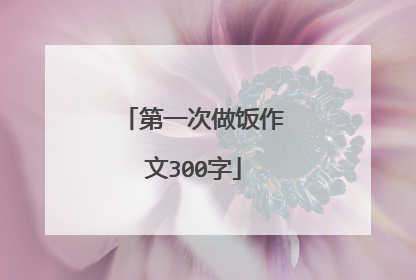 第一次做饭作文300字