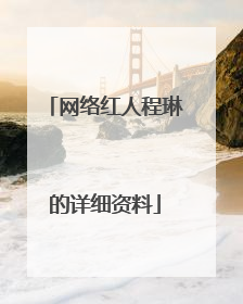网络红人程琳的详细资料