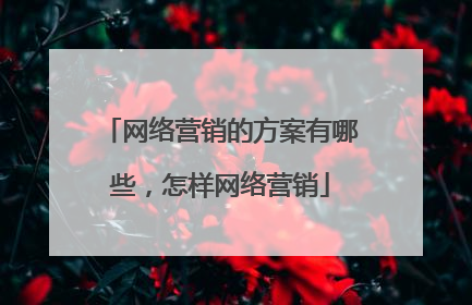 网络营销的方案有哪些,怎样网络营销