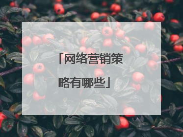 网络营销策略有哪些