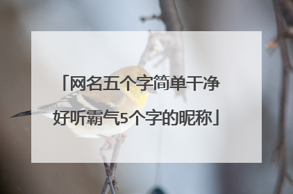 网名五个字简单干净 好听霸气5个字的昵称