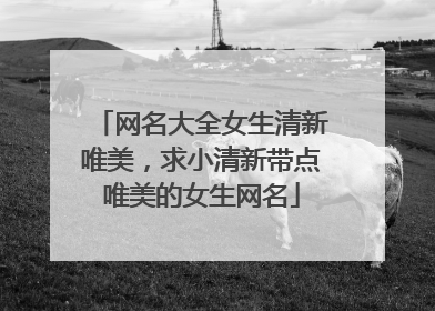 网名大全女生清新唯美,求小清新带点唯美的女生网名