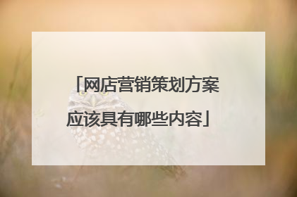 网店营销策划方案应该具有哪些内容