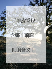 羊皮卷包含哪十项原则的含义